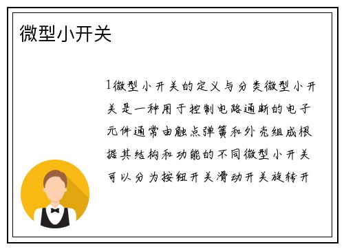 微型小开关